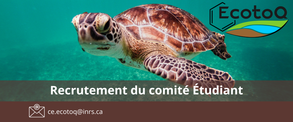 recrutement etudiant ecotoq tortue